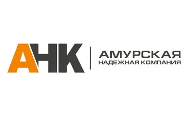 Амурская надежная компания